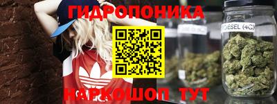 ПСИЛОЦИБИНОВЫЕ ГРИБЫ Партизанск