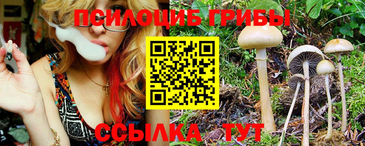 Галлюциногенные грибы GOLDEN TEACHER  Вход с VPN  Прокопьевск 