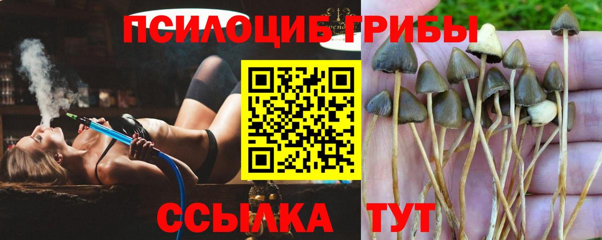 Псилоцибиновые грибы MAGIC MUSHROOMS Прокопьевск